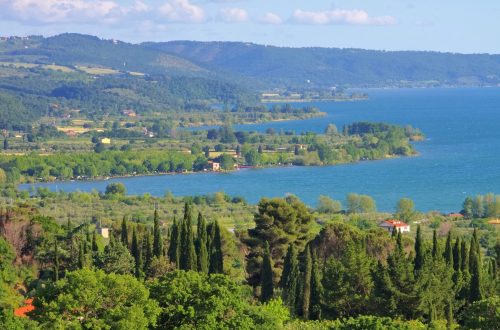articoli convento-19 (1)