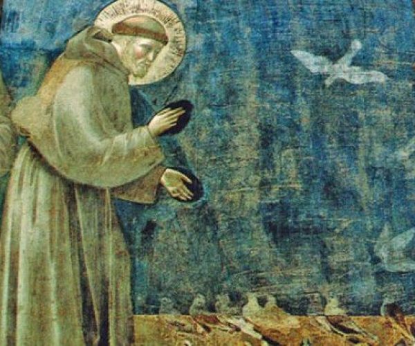 giotto-san-francesco